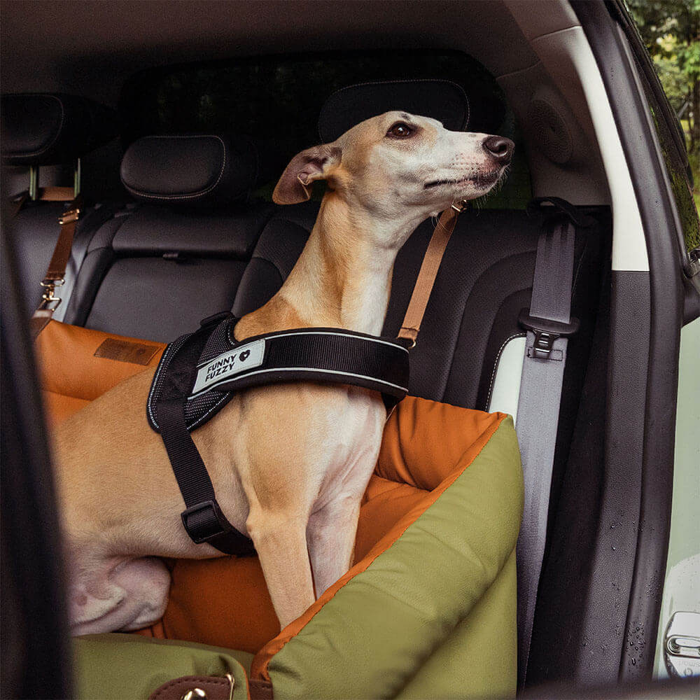 Bilsete for hund – Komfort og beskyttelse
