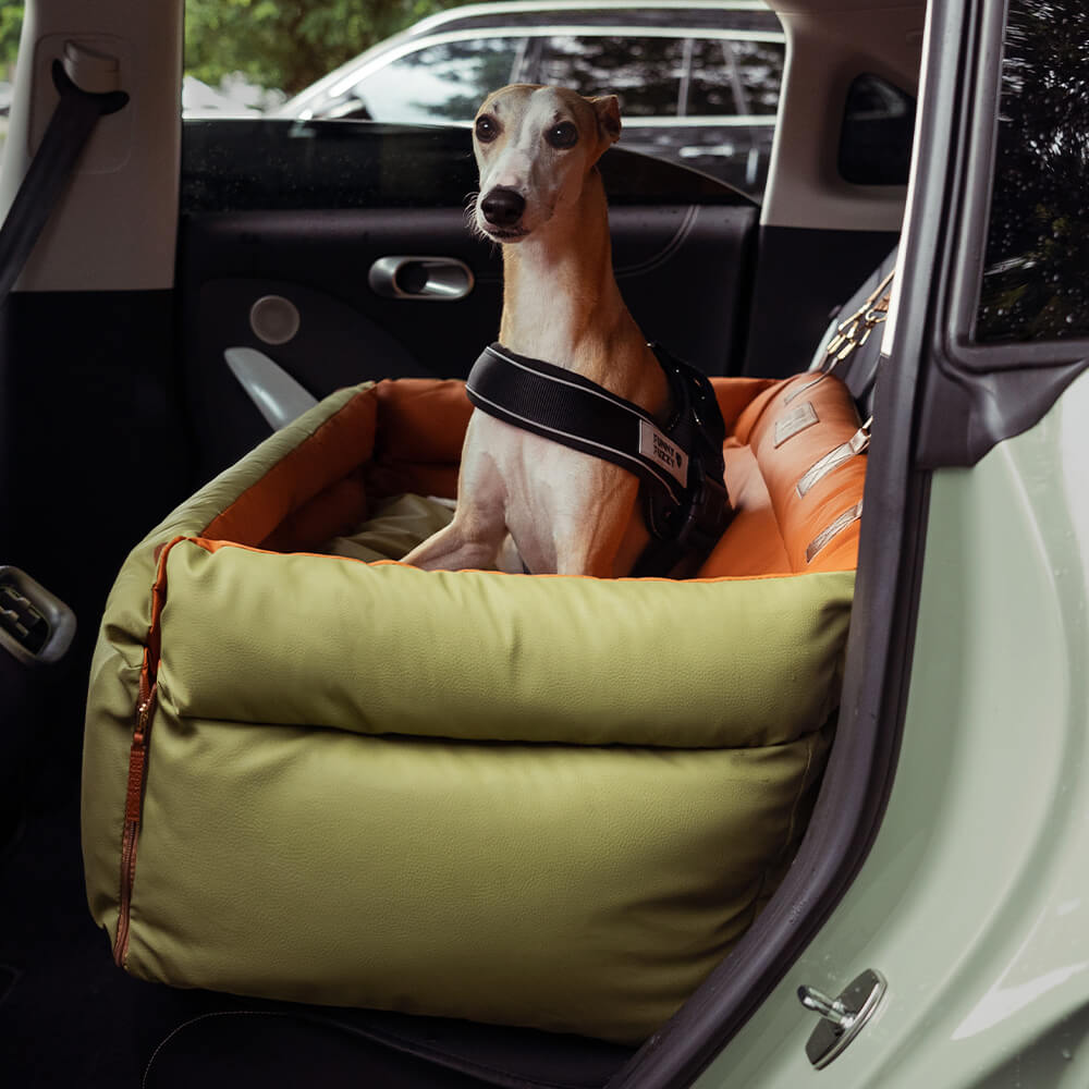Bilsete for hund – Komfort og beskyttelse