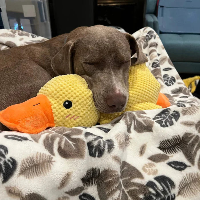 Giocattolo Anatra Rilassante Per Cani – Compagno Di Gioco E Di Relax