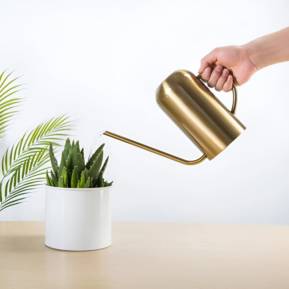 Vattenkanna med lång pip på 1,5 liter - praktisk kapacitet och känslig vattning