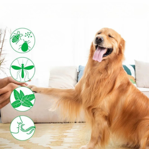 Naturlig Langvarig Anti-Parasitter Spray — Effektiv Beskyttelse Hver Dag