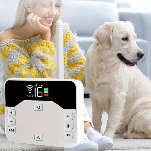 Cerca Sin Hilo Con Collar De Adiestramiento – Seguridad Y Educación Para Perros