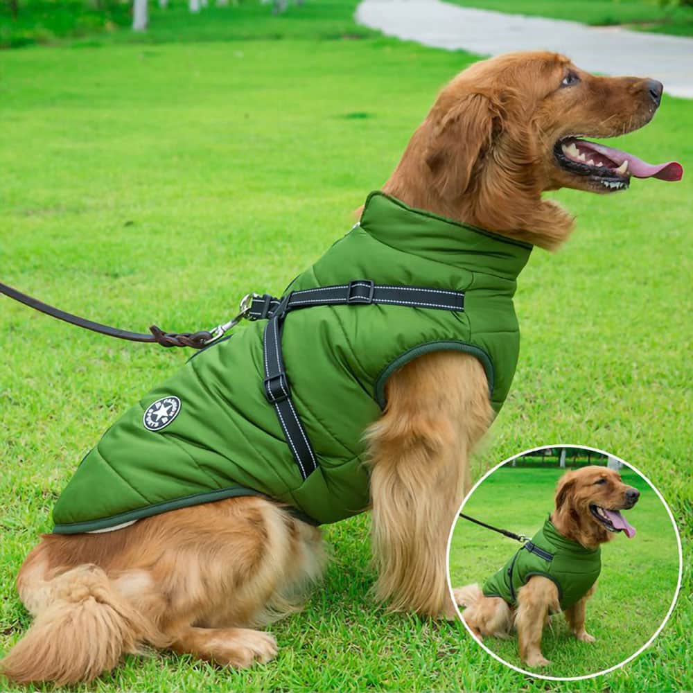 Vanntett Parkdress for Hund - Beskyttelse & Stil
