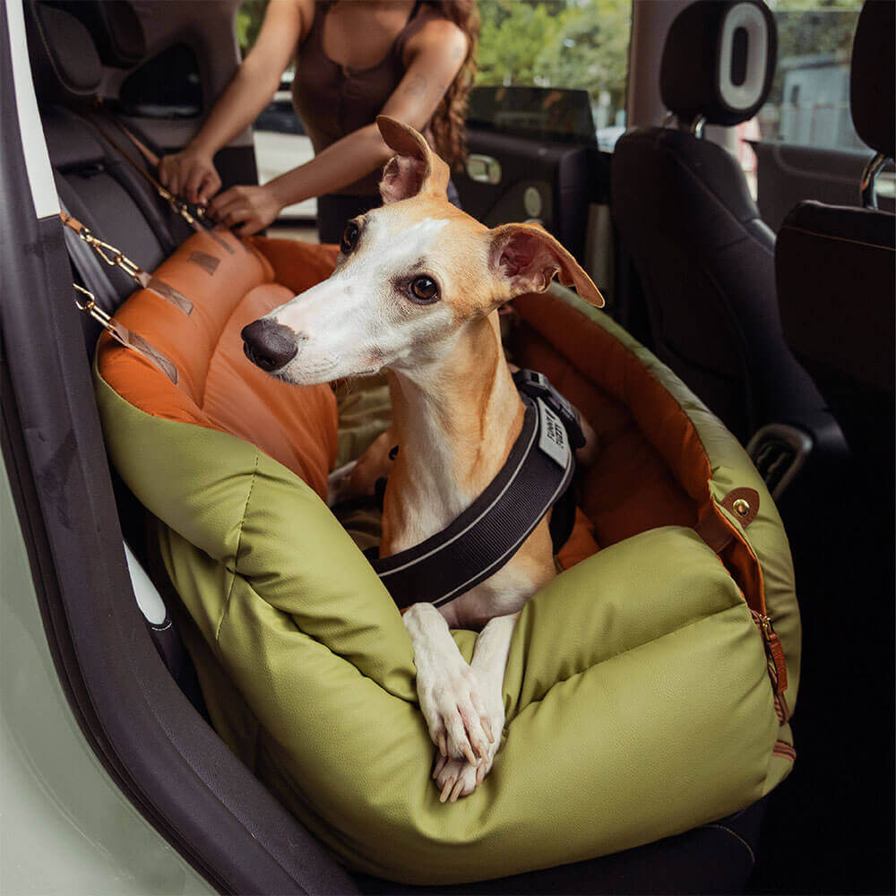 Bilsete for hund – Komfort og beskyttelse