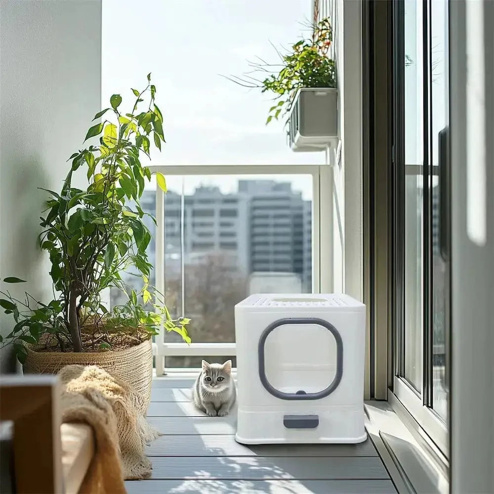 Katzenstreu Anti-Geruch – Sauberkeit und Komfort garantiert