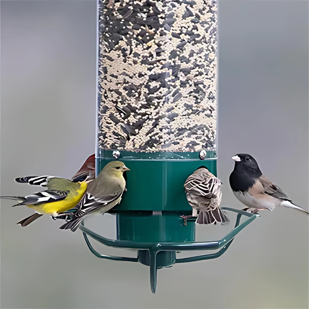 Hanging Bird Feeder – Squirrel-Proof and Easy to Refill