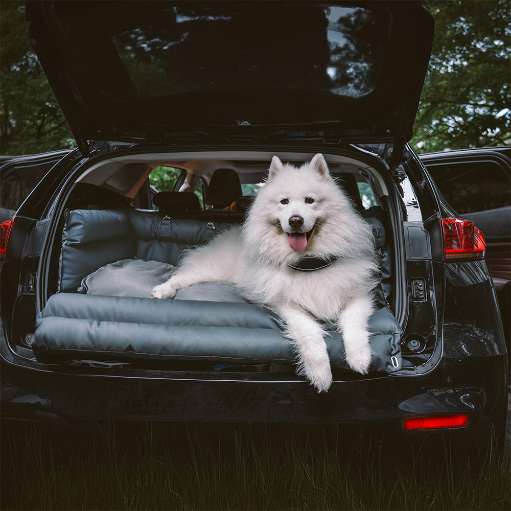 Bilsete for hund – Komfort og beskyttelse