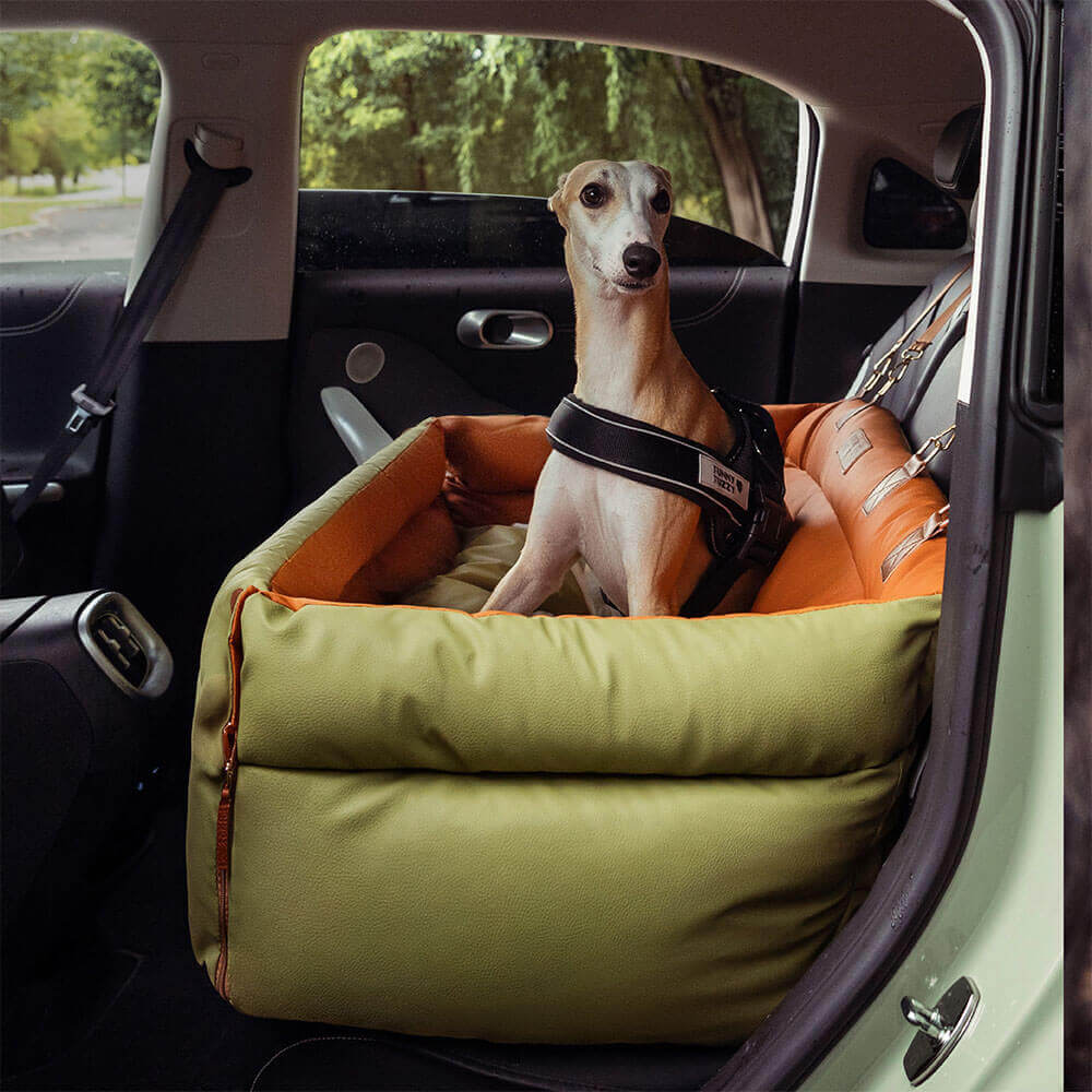 Bilsete for hund – Komfort og beskyttelse
