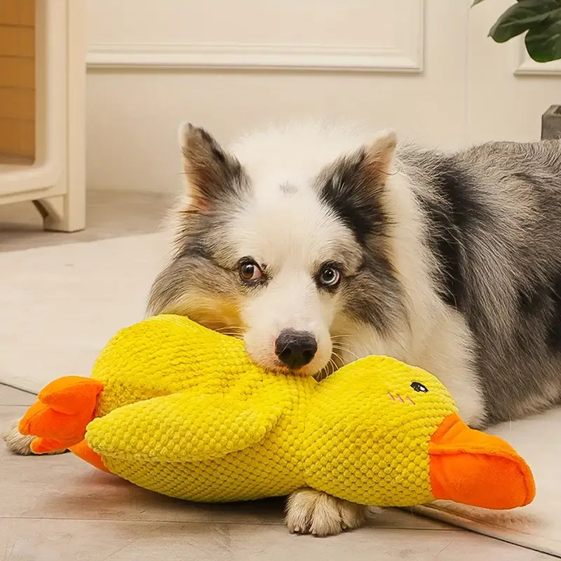 Giocattolo Anatra Rilassante Per Cani – Compagno Di Gioco E Di Relax