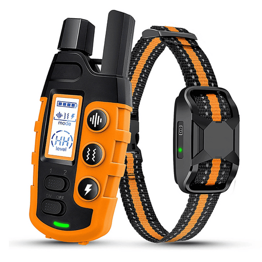 Fernbedienbarer Trainingshalsband – Wasserdicht, Wiederaufladbar und Reichweite 1000 m 