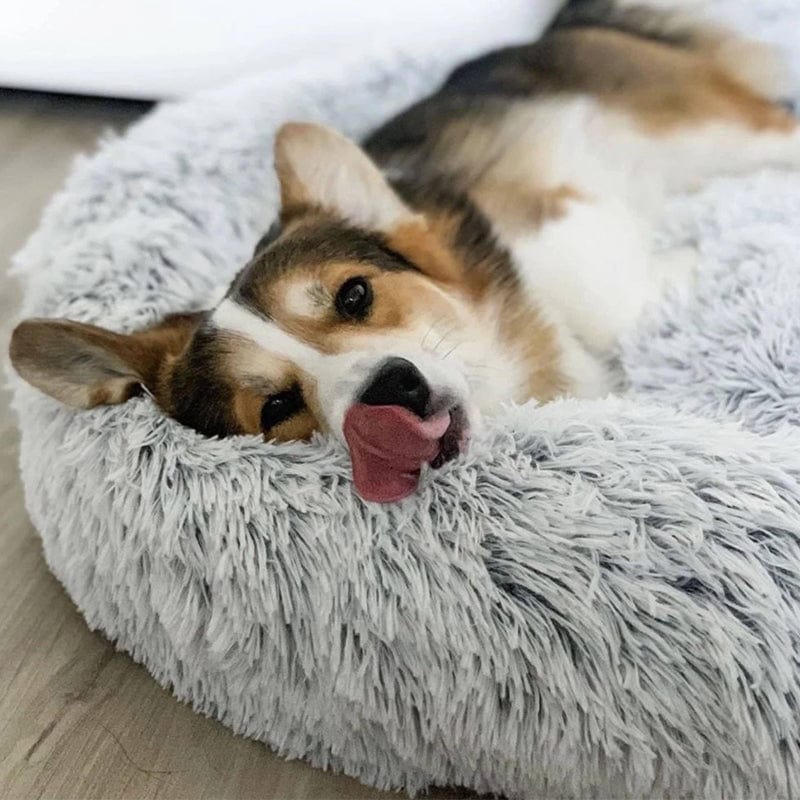 Lit Apaisant Ultra Moelleux Pour Animaux – Confort Et Sérénité