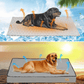 Hundebett Komfort – Ideal für Ruhe und Regeneration 