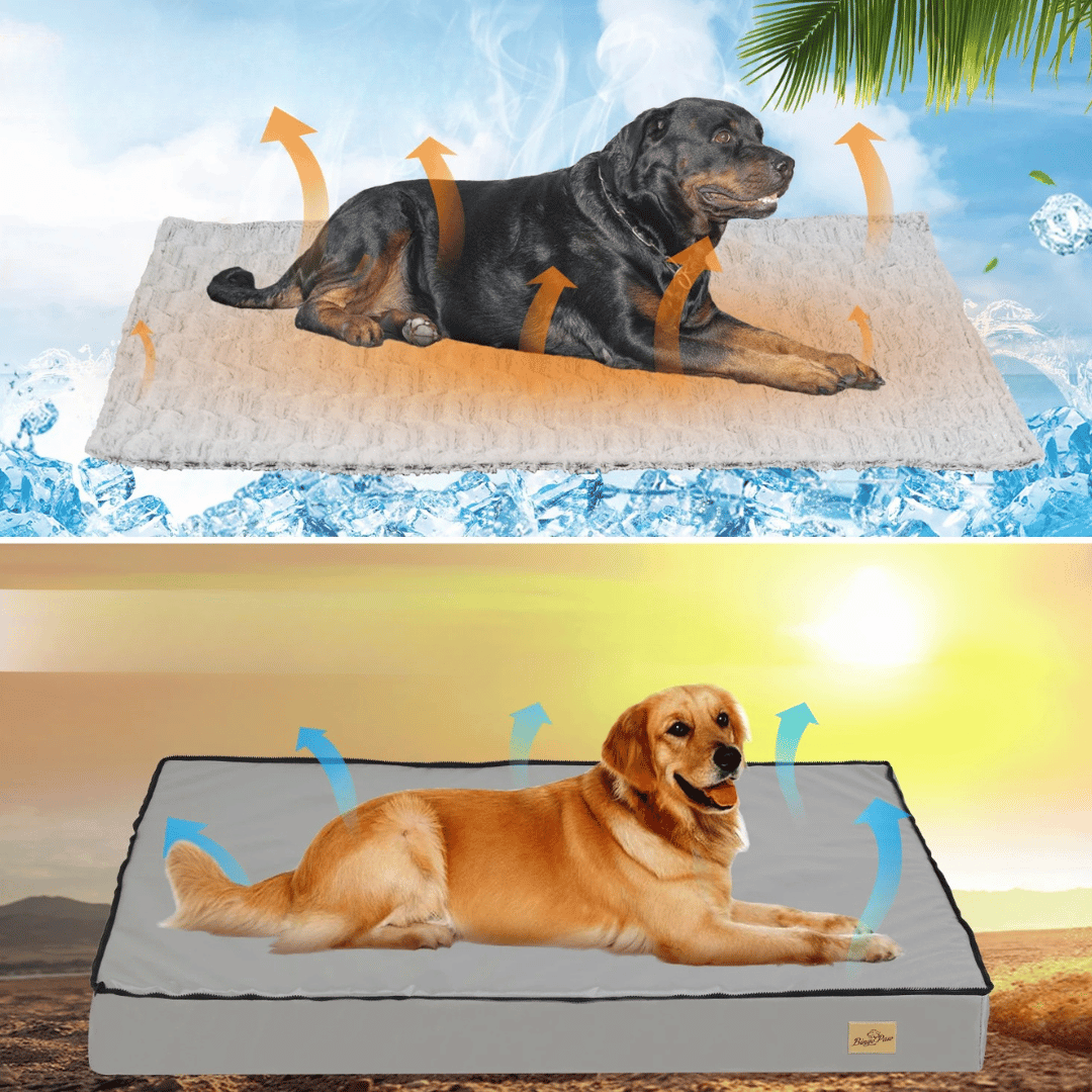 Hundebett Komfort – Ideal für Ruhe und Regeneration 