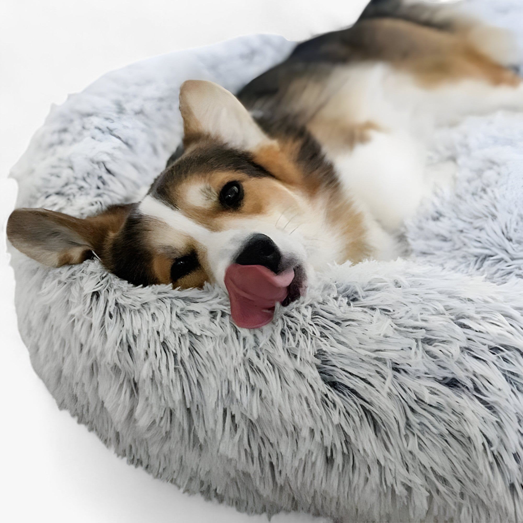 Beruhigendes Bett für Tiere – Gemütlicher Komfort und erholsamer Schlaf 