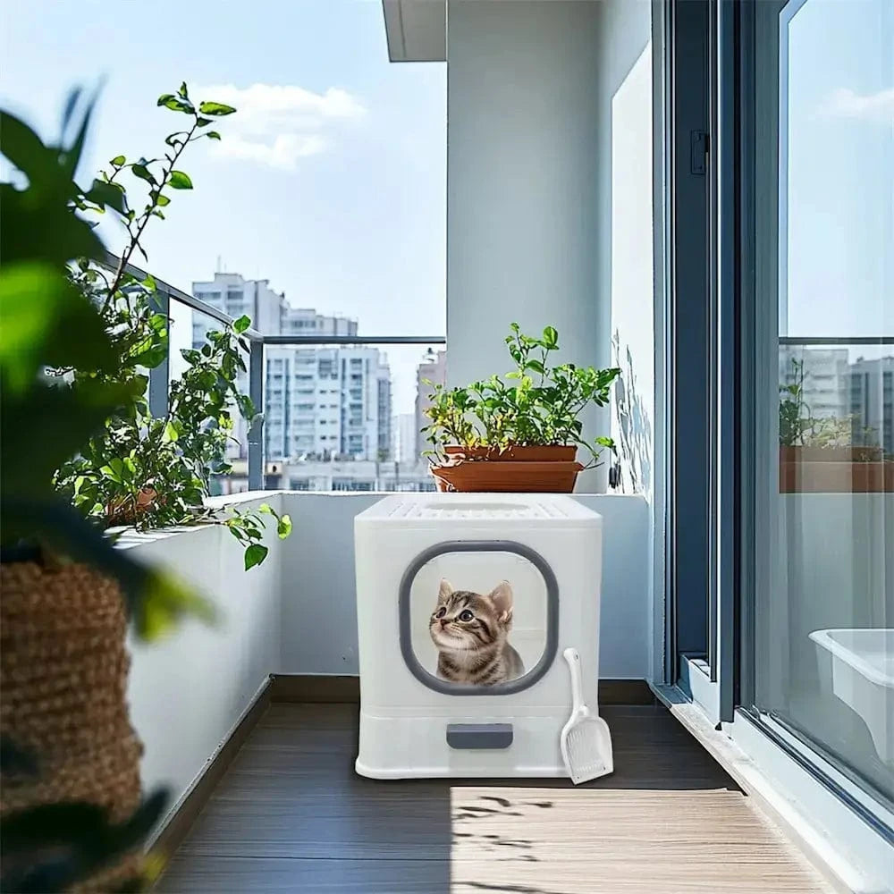 Cat Litter Anti-Odor – Cleanliness and Comfort Guaranteed 