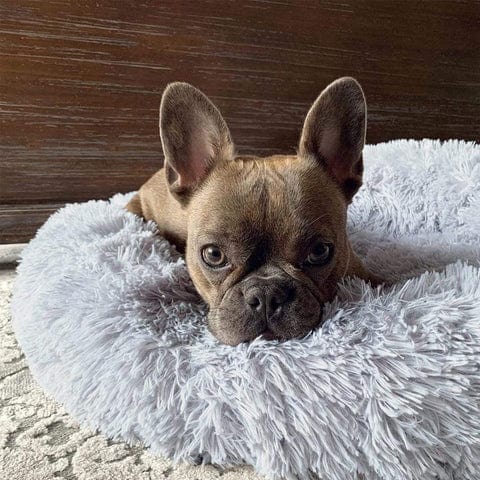 Lit Apaisant Ultra Moelleux Pour Animaux – Confort Et Sérénité
