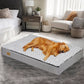 Hundebett Komfort – Ideal für Ruhe und Regeneration 