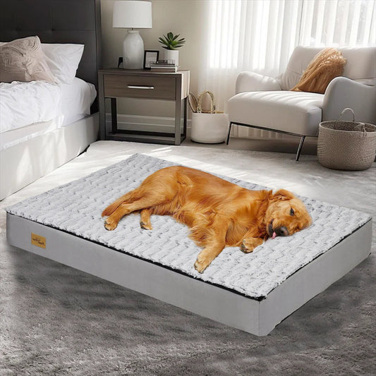 Hundebett Komfort – Ideal für Ruhe und Regeneration 