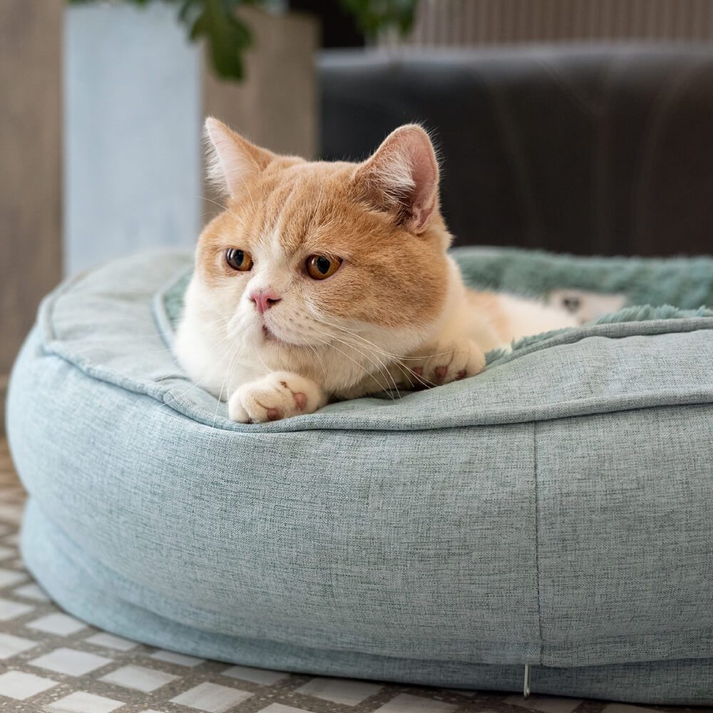 Hundeseng i Donut-form – Komfort og Blødhed 