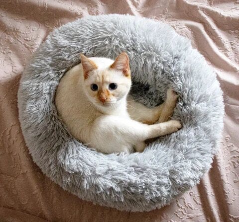 Lit Apaisant Ultra Moelleux Pour Animaux – Confort Et Sérénité