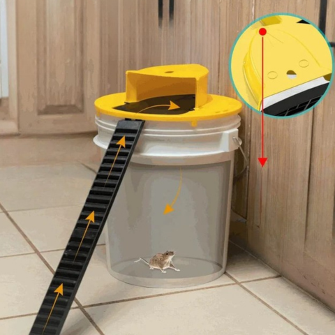 Trappola per topi con coperchio a secchio - Sistema automatico senza contatto