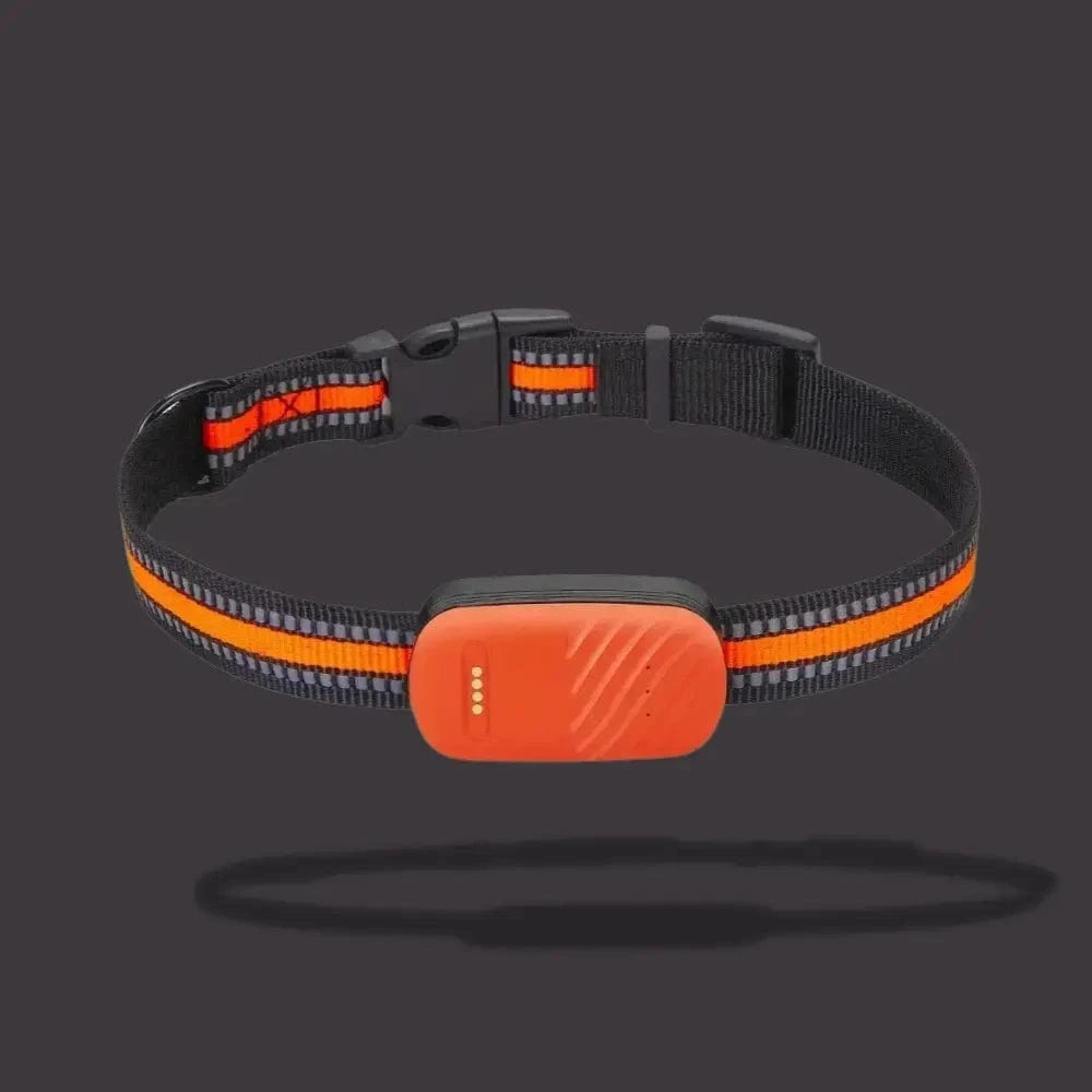 GPS-Tracker-Halsband für Katzen – Lokalisierung und täglicher Komfort 