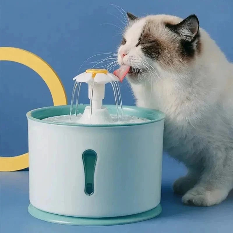 Design-Wasserquelle für Katzen – Hydratation und Eleganz 