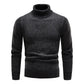 Camiel Chic | Moderner Rollkragenpullover