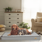 Hundebett Komfort – Ideal für Ruhe und Regeneration 